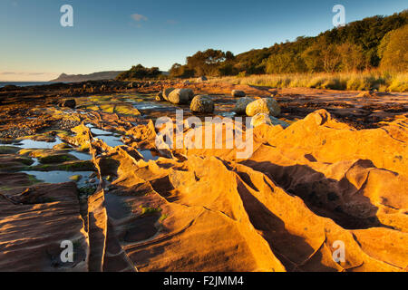 Sandstone rocks in morning light, Isle of Arran. Scotland Stock Photo