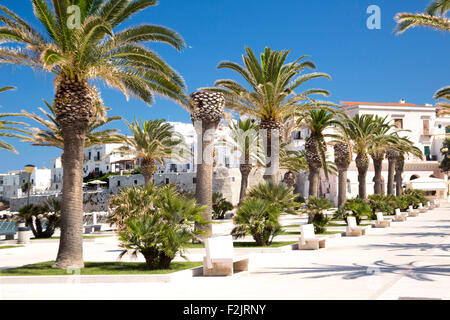 Vieste town promenade along sea-front in Apulia Italy Stock Photo