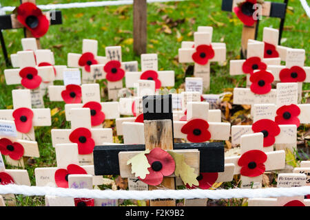 British Remembrance Sunday in November. Small wooden crosses set up on grass, all with a single poppy on to commemorate the world war dead. Stock Photo