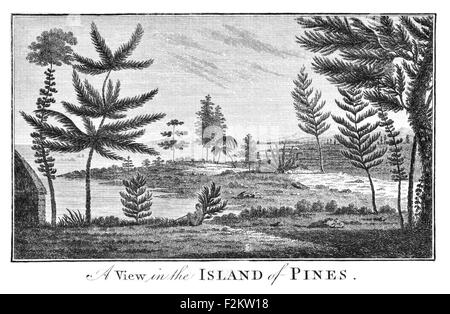 Captain James Cook FRS  1728 1779  British explorer, navigator, cartographer, captain Royal Navy. Island of pines Stock Photo