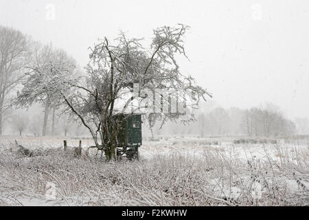 Mobile deerstand, onset of winter at wide open natural landscape, old Rhine sling, near Duesseldorf, Germany. Stock Photo