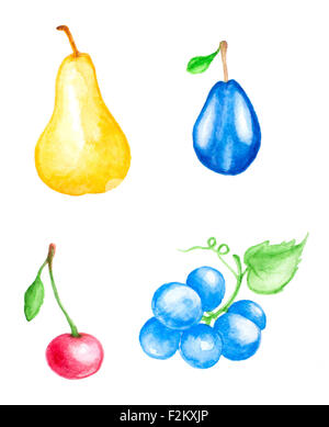 Plum fruits set. Watercolor hand drawn illustration, isolated on white ...