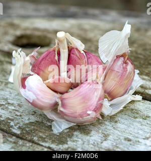Bulb of Garlic falling apart on a wooden table. Stock Photo