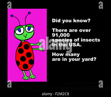 Education illustration of a bug and the words, 'Did you know?  91000 species of insects in the USA...' Stock Photo