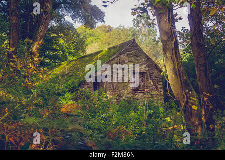 Cabin in the woods Stock Photo