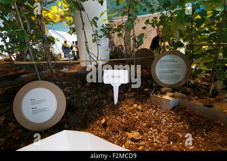 Milan, Italy, 13 September 2015: Inside Italian pavilion 'Palazzo Italia' at the exhibition Milan Expo 2015 Stock Photo