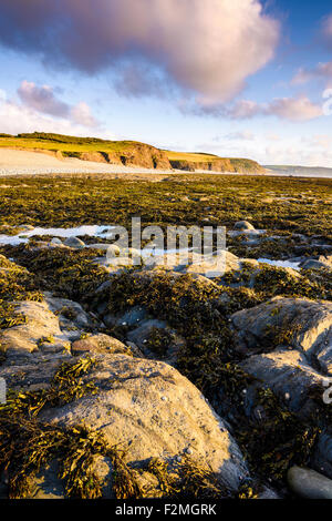 Cornborough Range and Abbotsham Cliff on the North Devon Coast near Abbotsham, England. Stock Photo