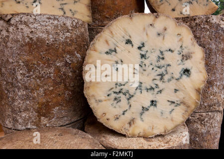 Cross section of round of Stichelton cheese, a veined, Stilton-like blue cheese on sale in Borough Market, South Bank London, UK Stock Photo