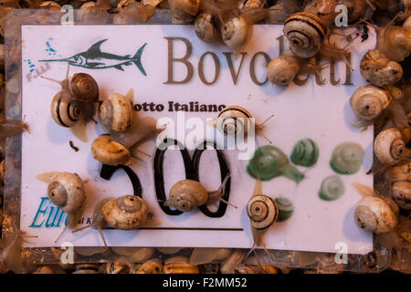 Boveloletti (snails) crawling over sign advertising snails for sale at the Pescaria (fish market) at the Rialto, Venice, Italy
