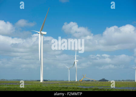 Renewable energy farm multiple wind mills on field and blue sky background. Includes clipping path, so you can easily cut it out Stock Photo