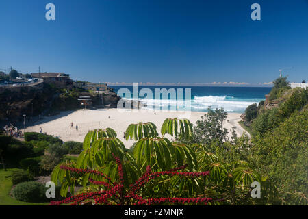 Tamarama Bay Beach Eastern Suburbs Sydney New South Wales NSW Australia Stock Photo