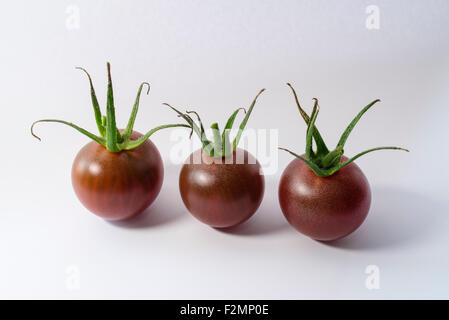 Three black cherry tomatoes in a row with lively stalks Stock Photo