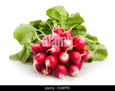 radishes isolated Stock Photo