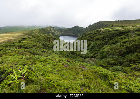 Lagoa Funda das Lajes, Flores Island,  Azores Stock Photo