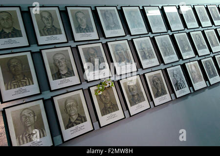 Horizontal close up view of black and white portraits of prisoners hanging on a wall in Auschwitz, Poland Stock Photo