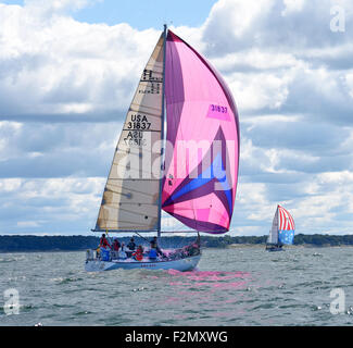 Bright pink spinnaker with sailing team in a sailboat race on Lake Michigan. Stock Photo