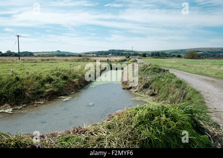 Lewes and Laughton Levels in East Sussex - the area is covered with these water drainage channels. Stock Photo