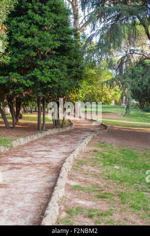 Tree Rounds Path Stone path in garden with round between green trees, vertical Stock ...