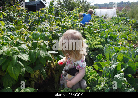 Little girl (2 years old) holding a cuddly toy and picking raspberries, with her brother (6 years old), at the allotment. Stock Photo