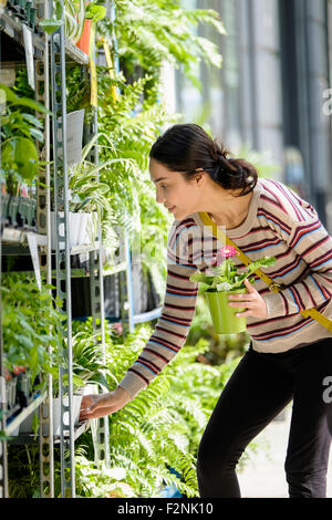 Hispanic woman shopping for plants in nursery Stock Photo