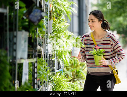 Hispanic woman shopping for plants in nursery Stock Photo