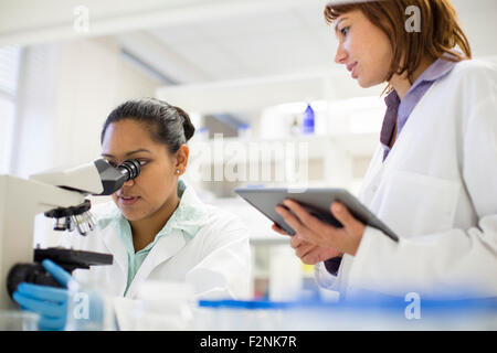 Scientists using digital tablet and microscope in laboratory Stock Photo