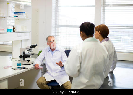 Scientists talking in laboratory Stock Photo