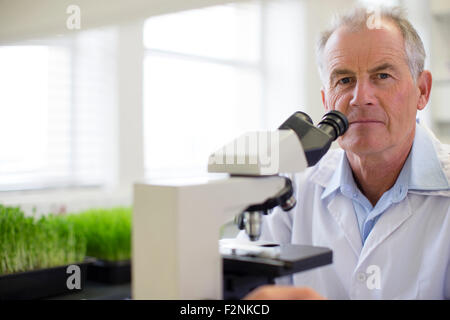 Caucasian scientist using microscope in laboratory Stock Photo