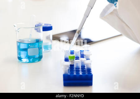 Mixed race scientist pipetting liquid into test tubes in laboratory Stock Photo