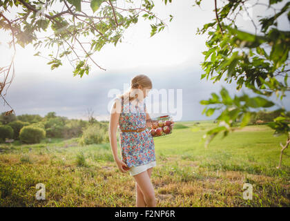 Caucasian girl picking fruit in orchard Stock Photo