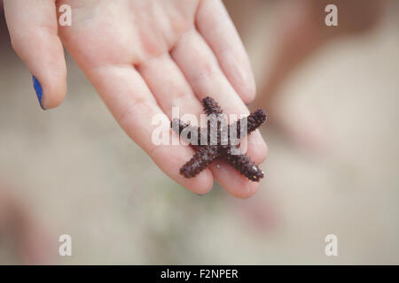 Caucasian girl holding starfish