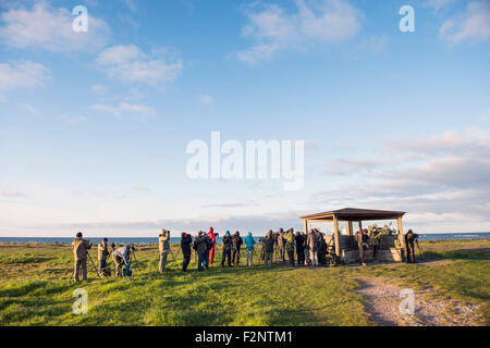 Bird-watchers Stock Photo
