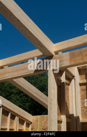 Glulam beams and rafters in Leed Platinum Common Ground High School building. Stock Photo
