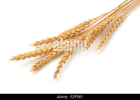 Ripe  wheat ears isolated on white Stock Photo