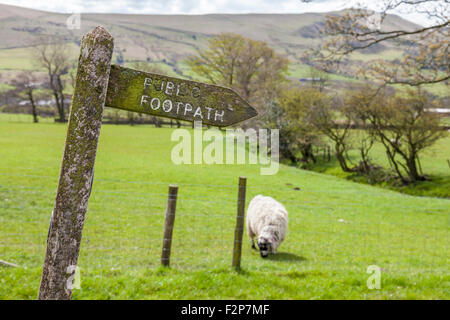 Old wooden public footpath signpost in the countryside, Derbyshire, Peak District, England, UK Stock Photo