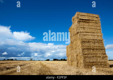 Burscough, Lancashire, UK. . 22nd Sep, 2015. Burscough, Lancashire. 22nd Sep, 2015. UK Weather: Straw Stack 8 high 5 wide and uncovered.  The stacks are on a slight slope which helps water drain.  Local farmers in Burscough, Lancashire, taking full advantage of the late summer weather to help dry seasonal crops after harvest.  As temperatures topped 19°C/66°F today, the farmhands were working overtime to harvest crops before the weather turns autumnal.  © Cernan Elias/Alamy Live News Credit:  Cernan Elias/Alamy Live News Stock Photo