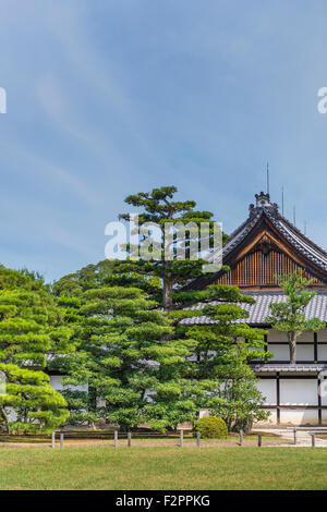 Japanese pine trees in front the end wall of a traditional wooden Japanese building Stock Photo