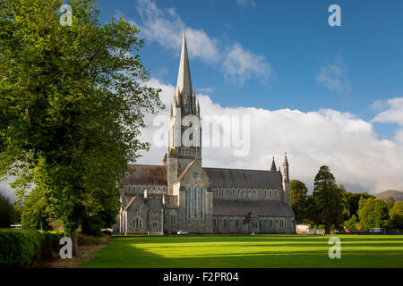 Early morning at St. Mary's Cathedral (b. 1855), Killarney, County Kerry, Republic of Ireland Stock Photo