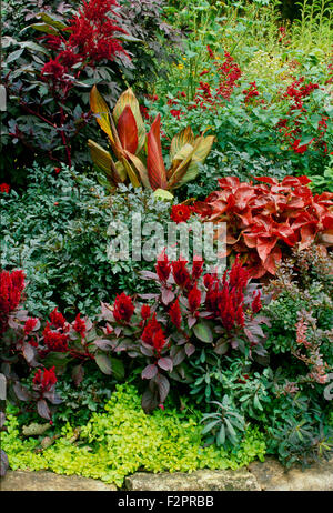 Red flowers and foliage in landscape garden design with rock border, Columbia Missouri USA Stock Photo