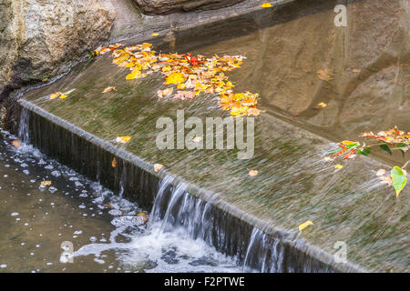Small Waterfall And Autumn Leaves Stock Photo