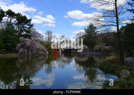 Japanese Hill-and-Pond Garden at Brooklyn Botanic Garden Stock Photo