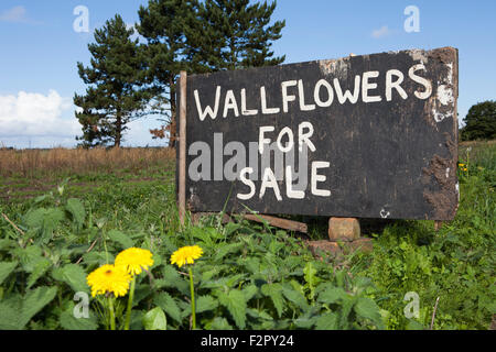 Roadside signs for the sale of Farm Produce in the village of Burscough, Lancashire, UK Stock Photo