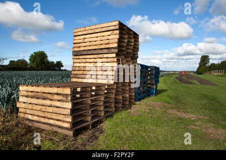 Farm landscape near the village of Burscough, Lancashire, UK Stock Photo