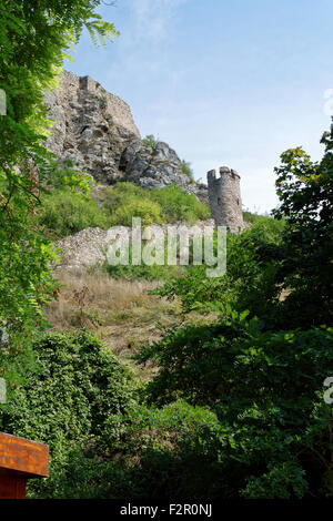 Devin Castle Slovakia Stock Photo