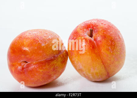 red plums on isolated white background Stock Photo