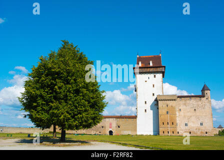 Hermanni Linnus, Hermann castle, Narva, Ida-Viru County, eastern Estonia, Europe Stock Photo