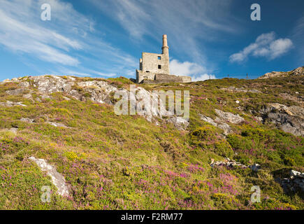 Mountain Mine, a 19th century ruined Cornish engine house in Allihies, Beara, County Cork, Ireland Stock Photo