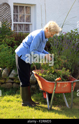 Elderly lady gardening Stock Photo - Alamy