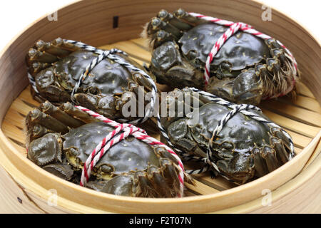 raw chinese mitten crab, shanghai hairy crab in bamboo steamer Stock Photo