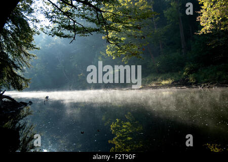 Mohican State Park, Ohio stream morning reflection Stock Photo